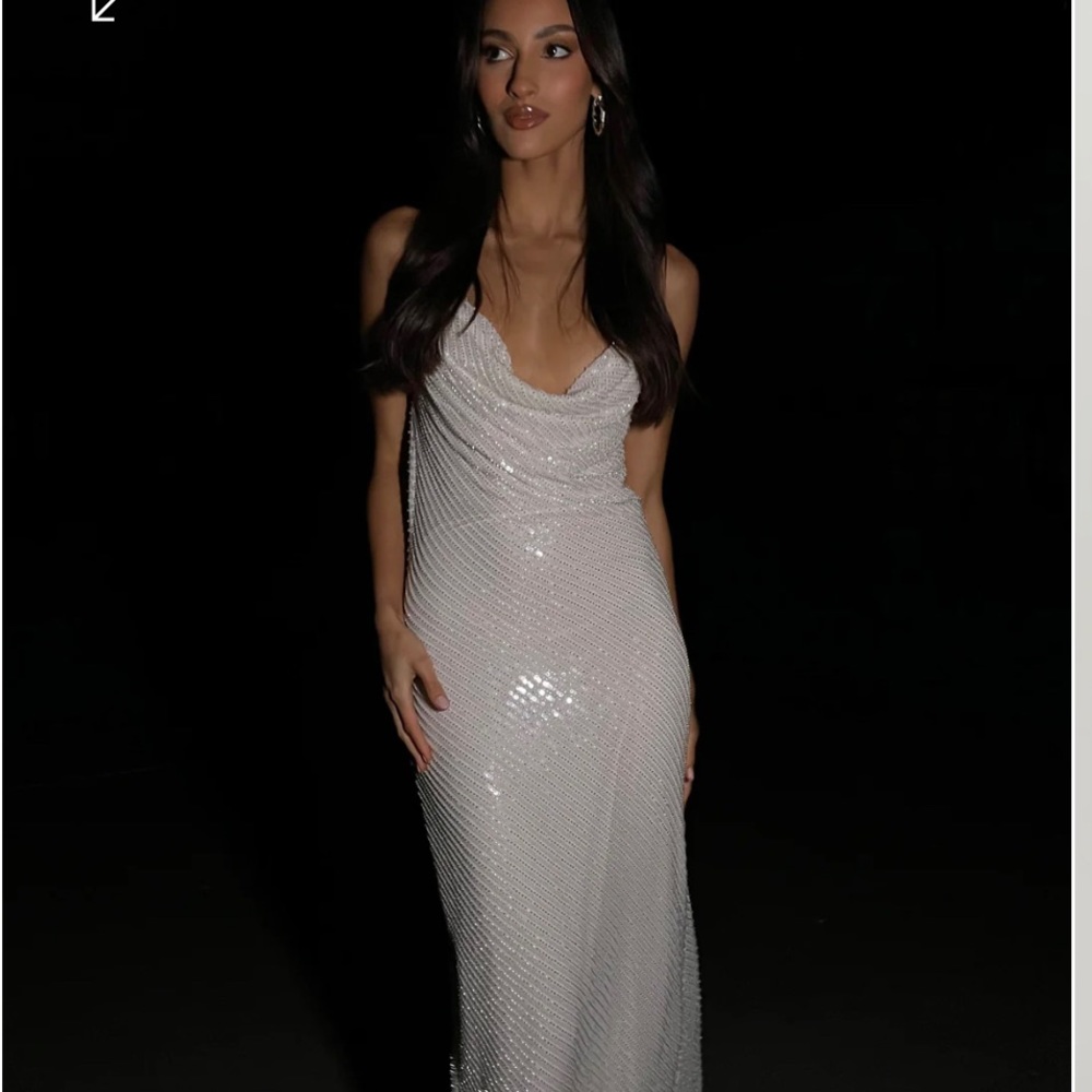 Marise sequin gown from Meshki (new with tags)